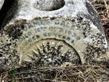 image of grave number 740060